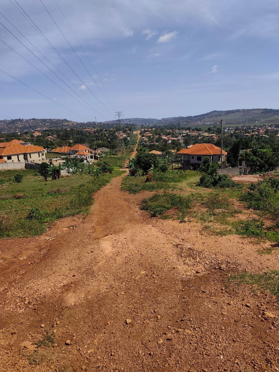 30 Acres of Private Mailo Land in Kitende